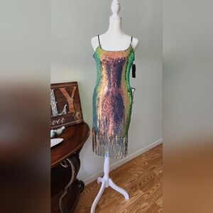 Multicolor Sequin Fringe Dress